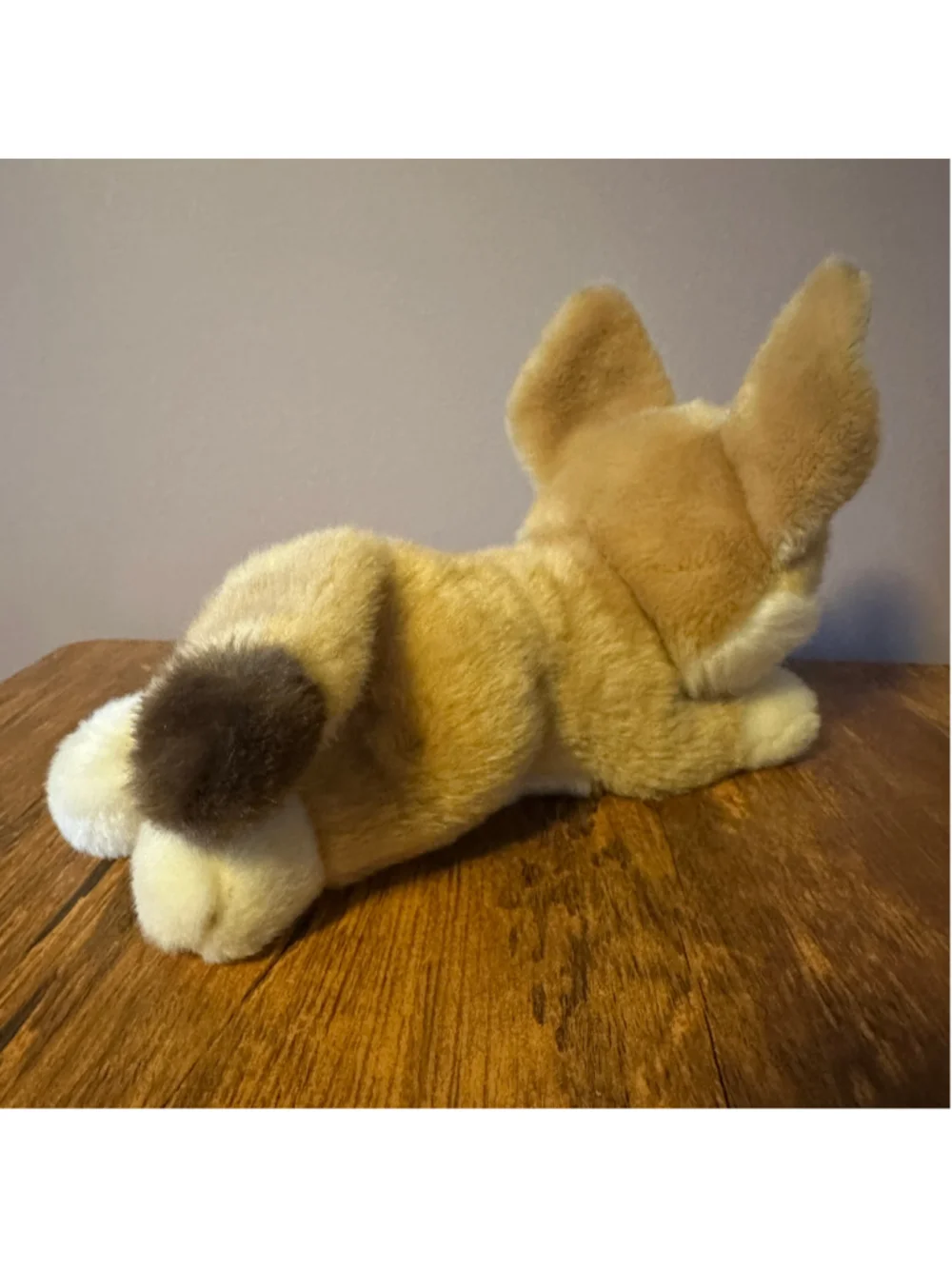 Adventure Planet Fennec Fox Plush 10 Inch Beige White Stuffed Animal